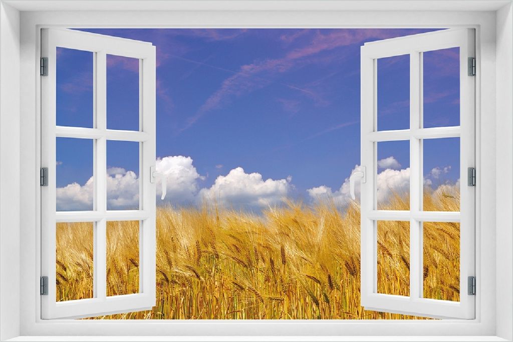 Wallario selbstklebendes Poster mit Fenster-Illusion - Kornfeld unter blauem Himmel, Größe: 100 x 150 cm