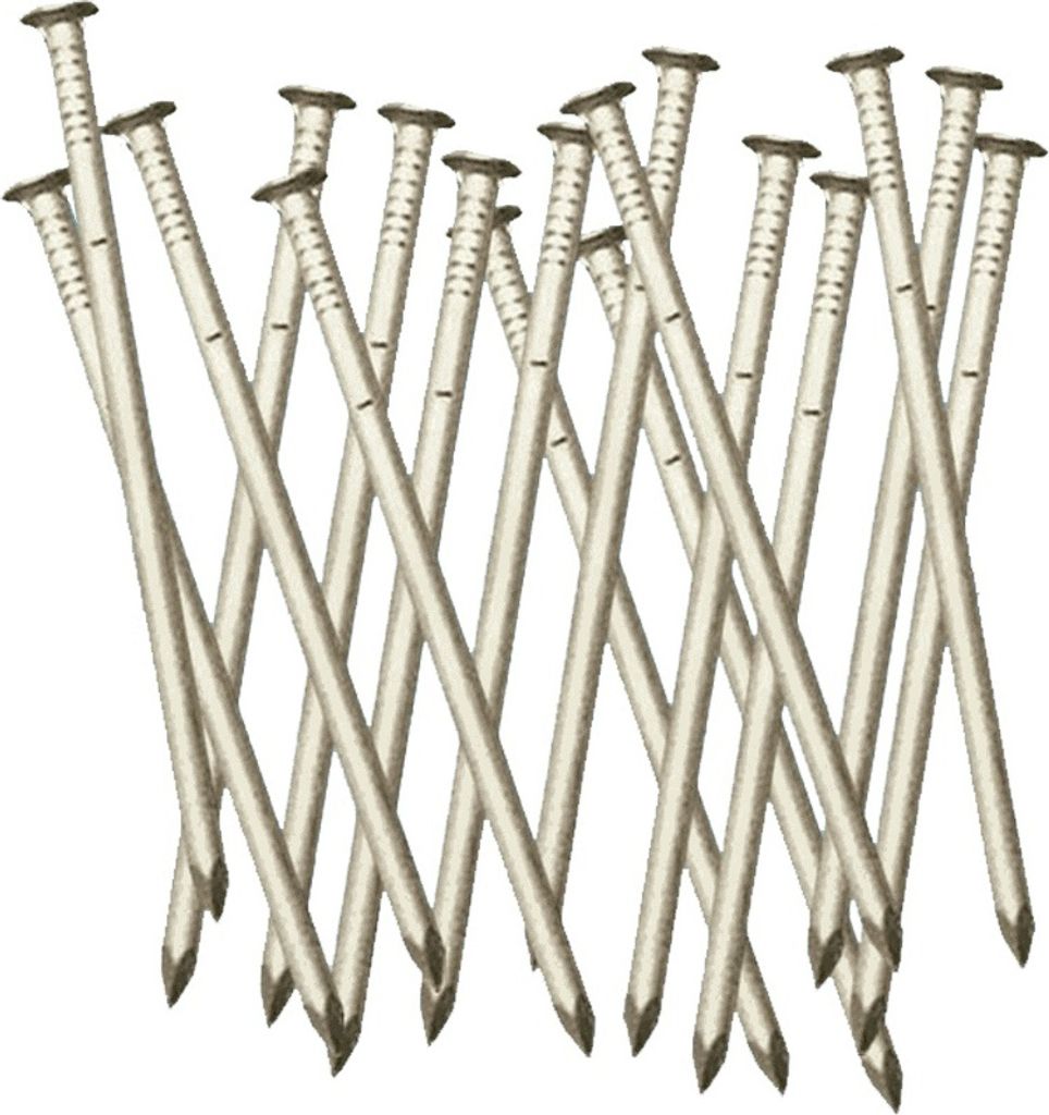 SCHWEGLER 004-420 SB-Alunägel für Nisthöhlen, silber (25er Produktbild 