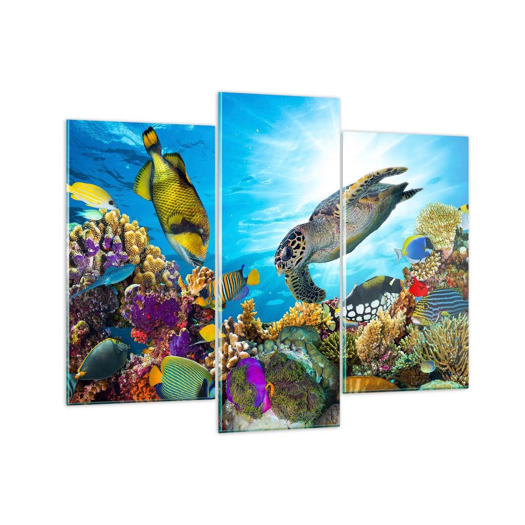 Bilder auf glas - Riff Koralle Fisch - 130x100cm - Glasbilder - Wandbilder - Kunstdruck - zum Aufhängen bereit - Wanddekoration aus Glas - Glas Bi...