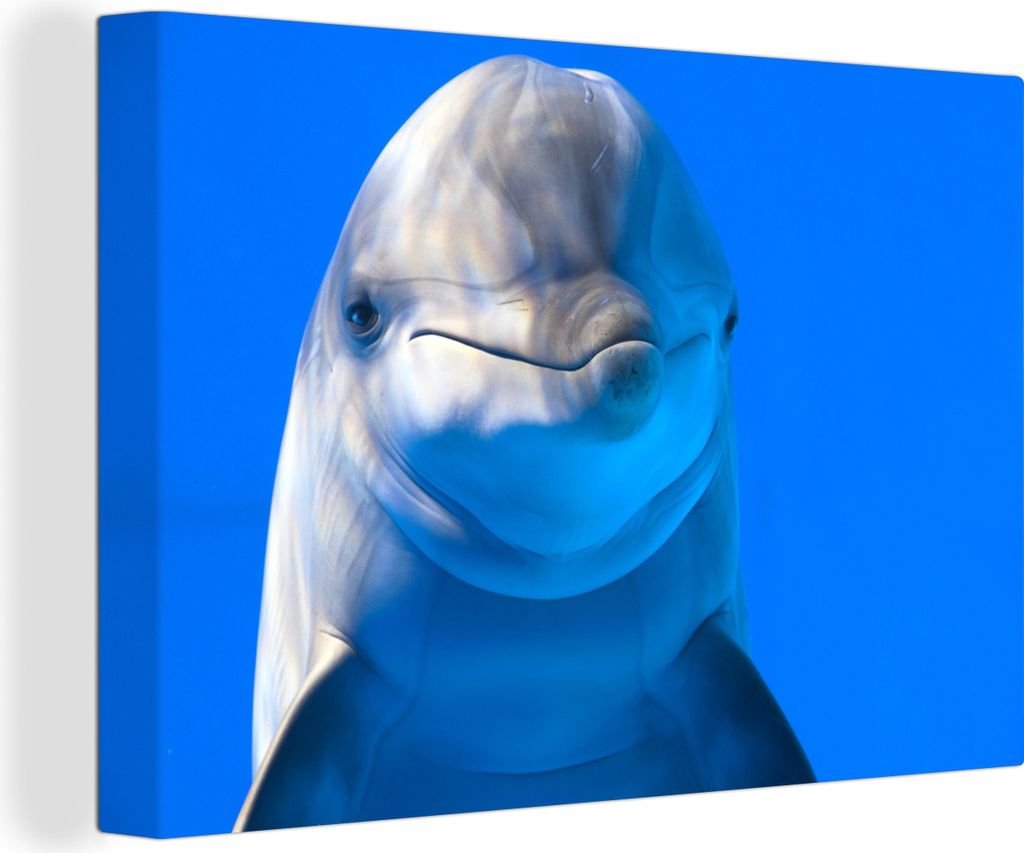 OneMillionCanvasses - Leinwandbilder - 150x100 cm, Delfin in einem Aquarium, Wandbilder Kunstdruck Wanddekoration