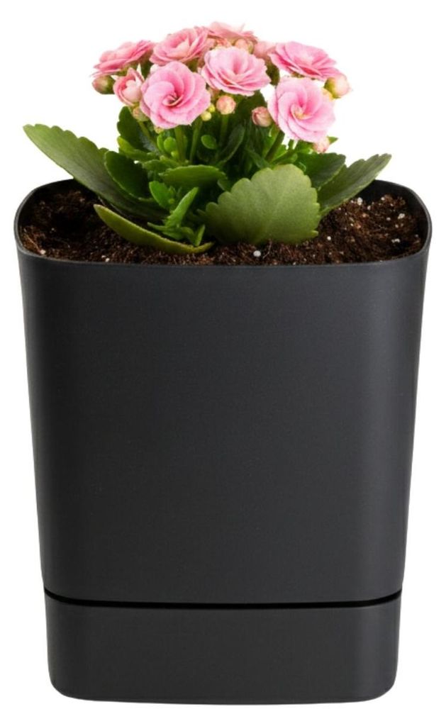 HowHomely | Pflanztopf - Übertopf - Blumentopf mit Untersetzer - schwarz - 16xH18 cm - aus Kunststoff - Pflanzgefäß