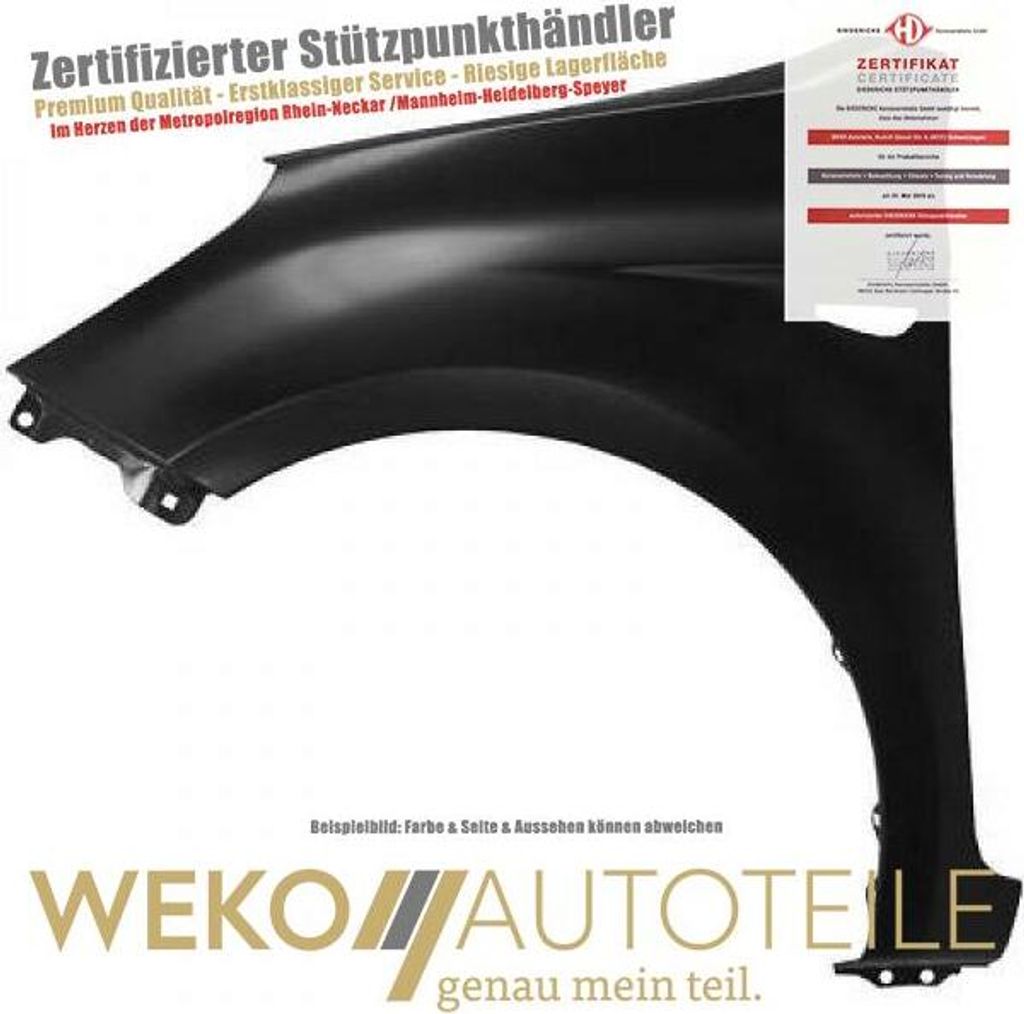 Diederichs Kotflügel li. Hyundai i20, 09->>