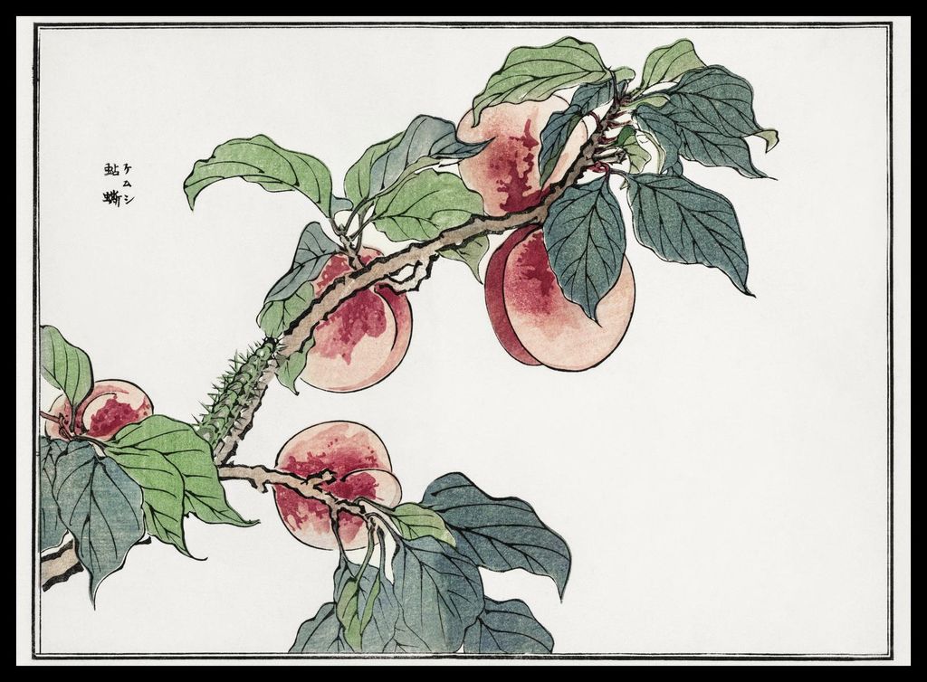 Plakat 55x40cm Raupe auf Morimoto-Baum Japanisch Vintage für das Wohnzimmer