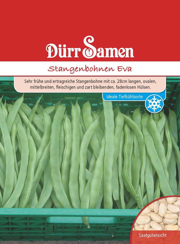 Dürr-Samen - Stangenbohnen Eva - Saatgut - 0314 Produktbild 