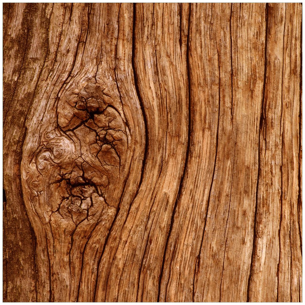 Wallario Premium Glasbild, freischwebende Optik, kräftige Farben, Größe 50 x 50 cm Motiv Holzstamm mit Asteinschluss