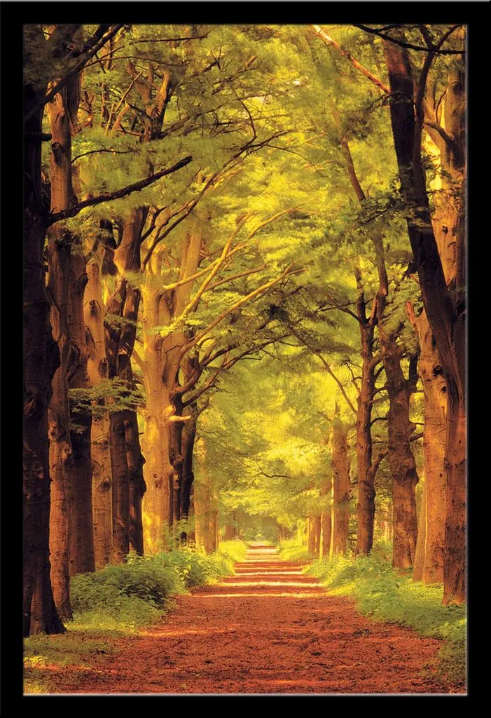 Décorez un Mur Vide avec le Poster Chemin Forestier et Cadre Noir MDF
