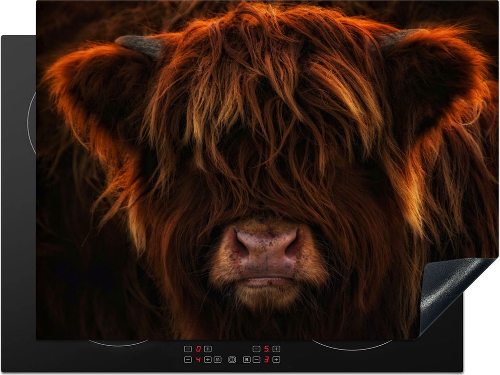 KitchenYeah Herdabdeckplatte Schottischer Highlander - Kuh - Porträt - Tiere , 71x52cm, Küche Deko, Glaskeramikfeld Herdabdeckung, Abdeckplatte...