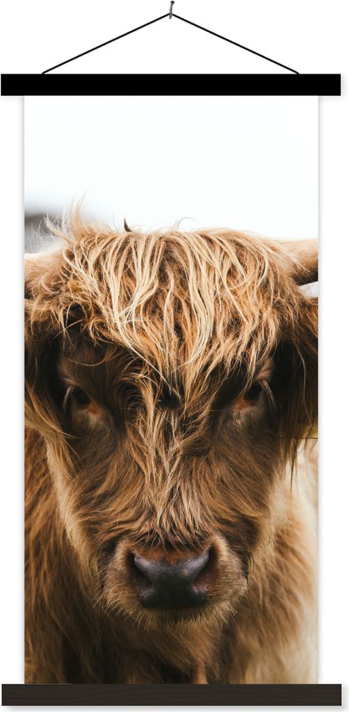 MuchoWow Textilposter Schottisches Hochlandrind - Kuh - Gras - Tiere - Natur 90x180 cm mit schwarzem Rahmen - Dekoration Wohnzimmer