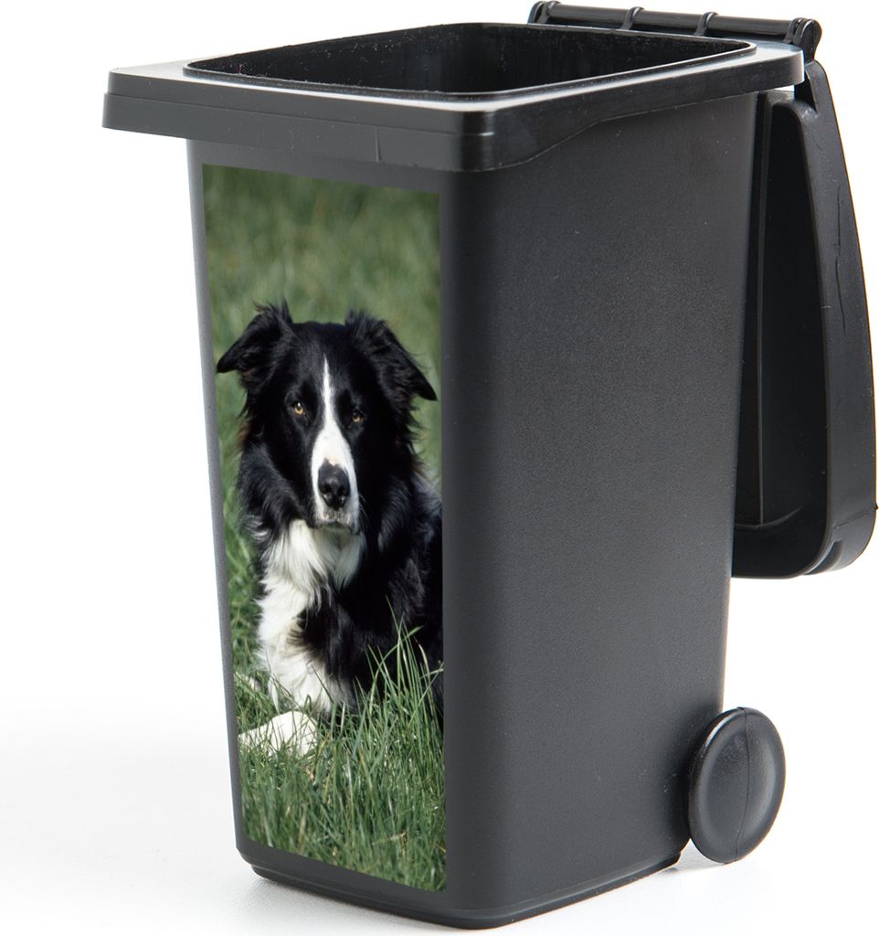 MuchoWow Mülltonnenaufkleber Border Collie liegt im hohen grünen Gras 38x80 cm - Behälteraufkleber - Mülleimer-Aufkleber - Container-Aufkleber