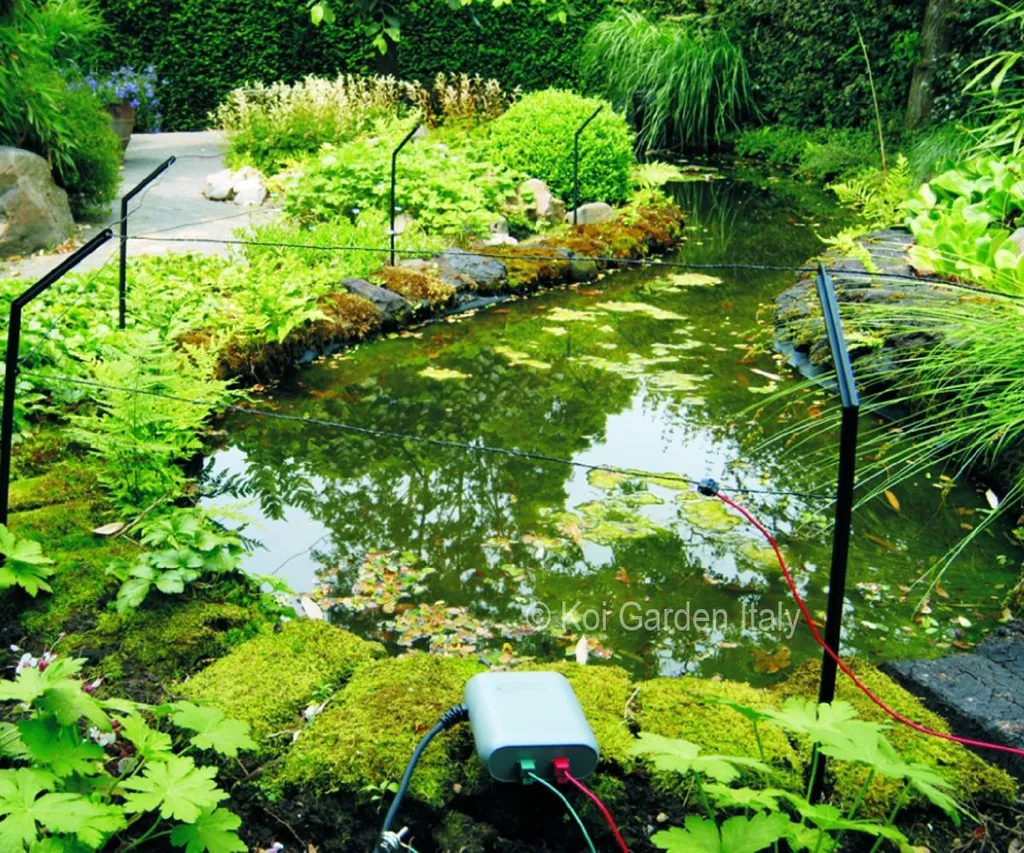 Solution Anti-Héron Efficace : Clôture Velda Pond Protector Électrique