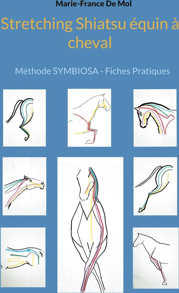 Equine Shiatsu Stretching auf dem Pferd