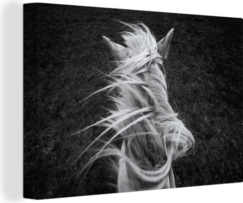 OneMillionCanvasses - Leinwandbilder - 140x90 cm, Mähne eines Pferdes in Schwarz und Weiß, Wandbilder Kunstdruck Wanddekoration