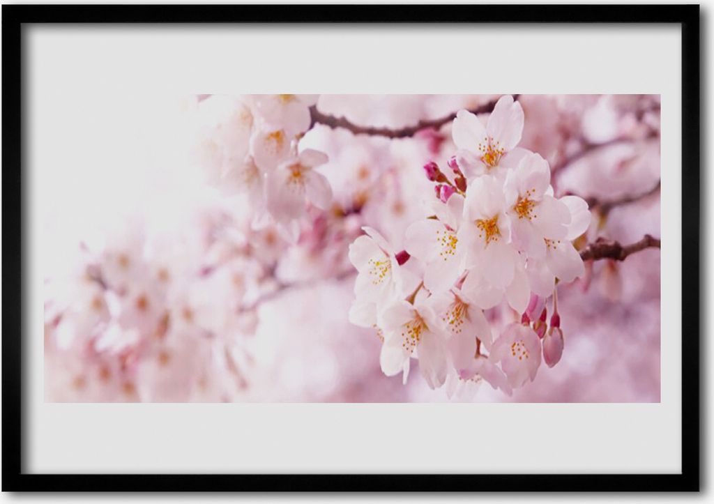 Bild 70x50 MDF-Rahmen Wandkunst Blumen Pflanzen Natur