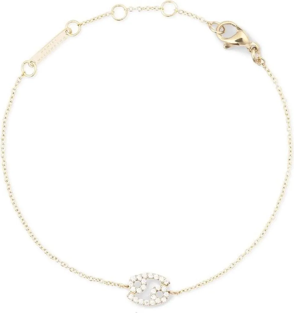 Daniel Wellington Zodiac Kette Gold: Fascia Braccio Cristallo di Lusso