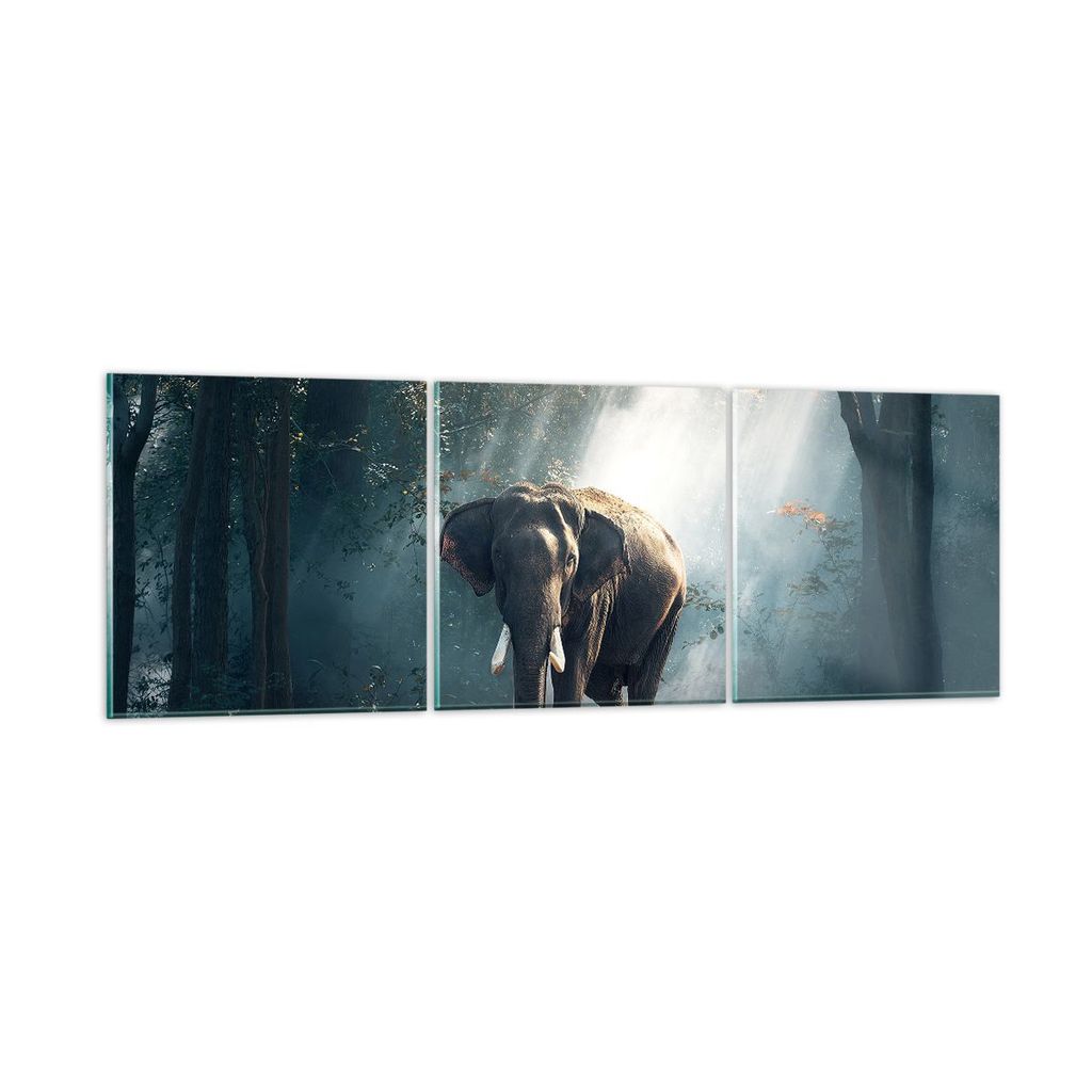 Bilder auf glas - elefant natur - 120x40cm - Glasbilder - Wandbilder - Bilder - Kunstdruck - zum Aufhängen bereit - Wanddekoration aus Glas - Glas...