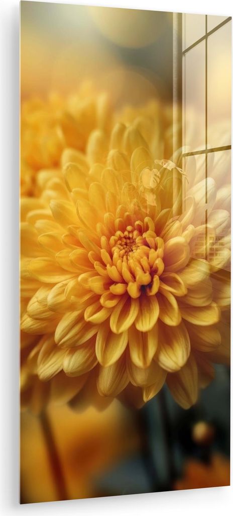 MuchoWow Glasbilder - Bilder auf Wandbild - Foto auf Glas Gelb - Chrysantheme - Sanftheit 60x120 cm Wanddekoration aus Glas - Acrylglasbild - Acryl...