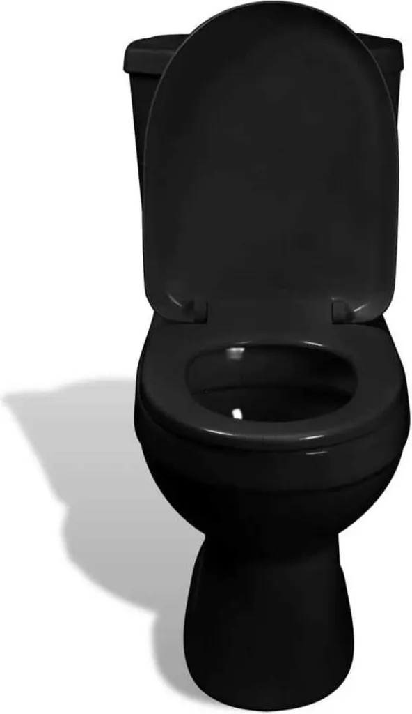 Pack WC à poser noir avec réservoir basse consommation - Finition Mate