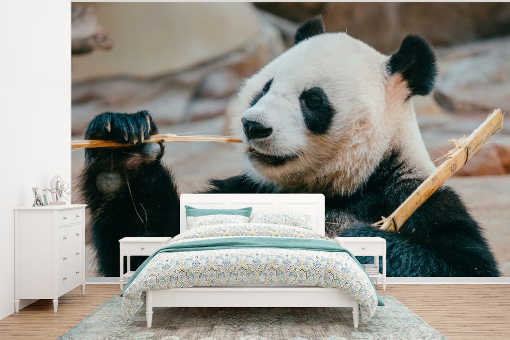 MuchoWow Fototapete für Wohnzimmer oder Schlafzimmer Wandtapete Vinyl Motivtapete Panda - Bären - Bambus - 295x220 cm - Wand Tapete