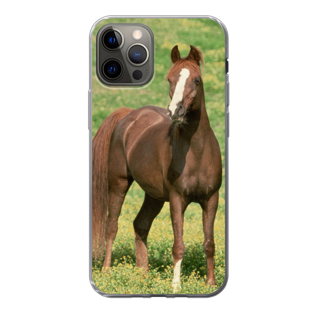 MuchoWow Handyhülle Schutzhülle Hülle für iPhone 12 Pro Pferde - Gras - Braun Silikon Softcase Handy Hülle - Abdeckung
