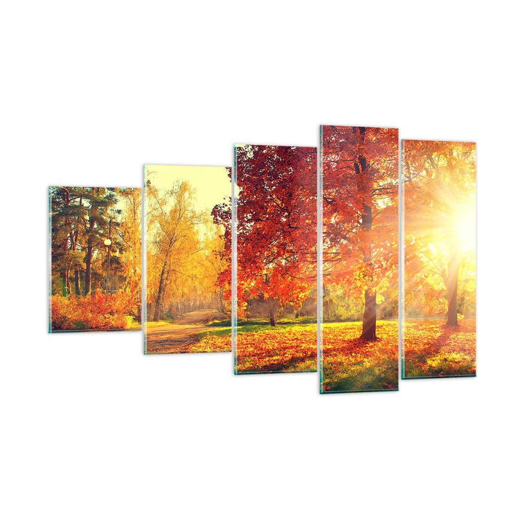 Bilder auf glas - Park Herbst Baum - 100x60cm - Glasbilder - Wandbilder - Kunstdruck - zum Aufhängen bereit - Wanddekoration aus Glas - Glas Bilde...