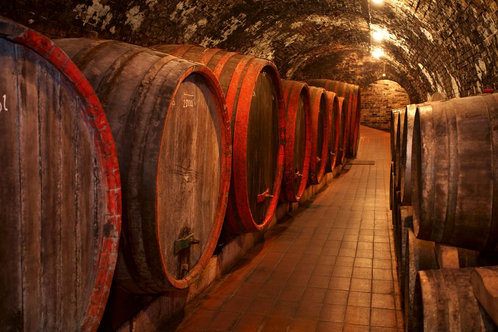 Fototapete - Wine Barrel 375x250cm - Vliestapete