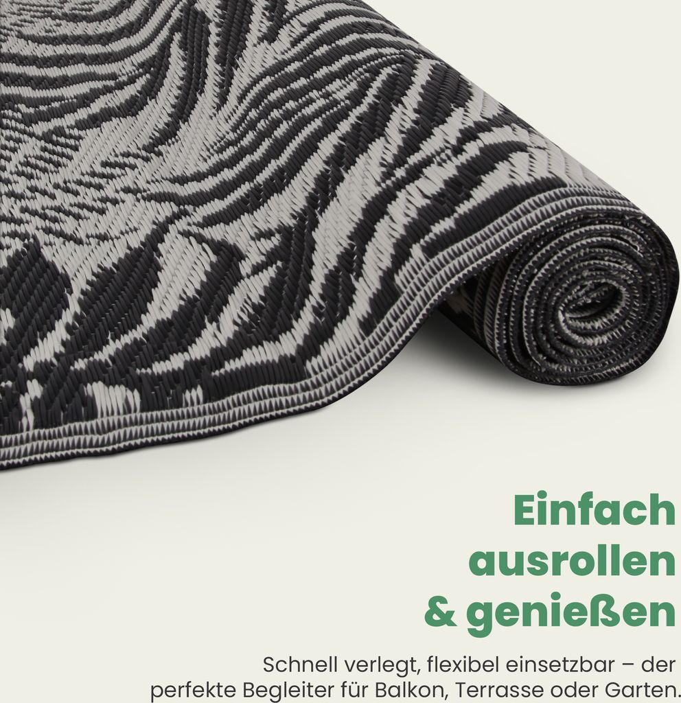hängender kaktus Rhipsalis burchellii – hängender Kaktus main image 1