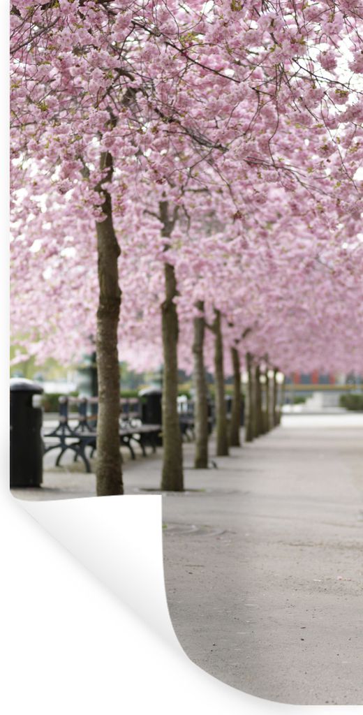 MuchoWow Wandtattoo Wandsticker Wandaufkleber Frühling - Sakura - Bäume 20x40 cm Selbstklebend und Repositionierbar - Selbstklebend - Fototapeten