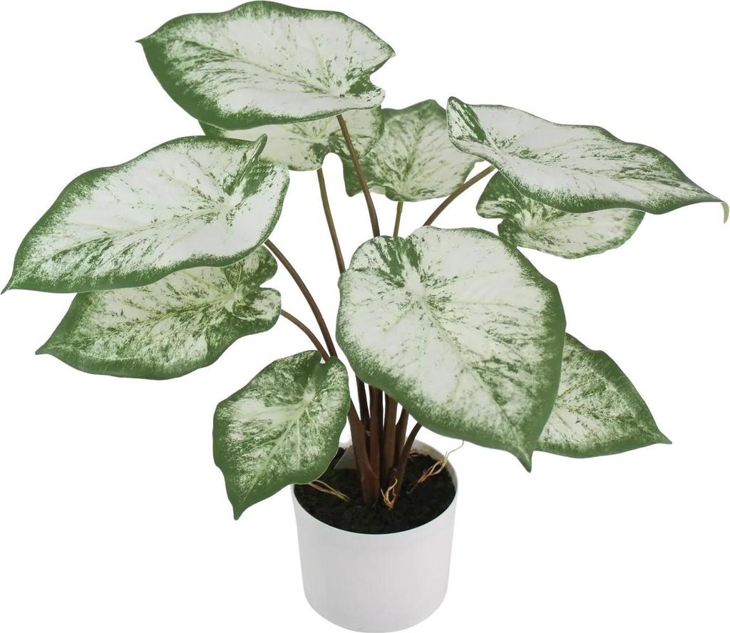 aplanta Künstliche Caladium - Noelia | 55 cm, inkl. Dekotopf, für drinnen, Kunstpflanze, wie echt, Allergiker geeignet, pflanzliche Dekoration Pr...