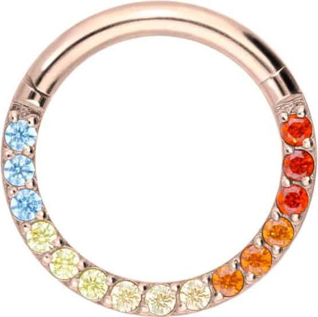 Ohrpiercing, Nasenpiercing, Septum Piercing Titan Segmentring Clicker EINGEFASSTE BUNTE KRISTALLE