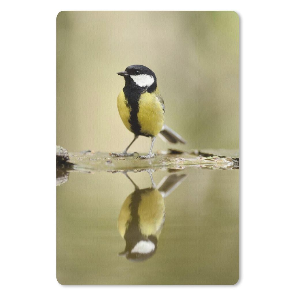 MuchoWow Mauspad Mousepad Große Meise spiegelt sich im Wasser 40x60 cm - Mousepads - Maus Mat - Pad - Mausunterlage - Schreibtisch Accesoire