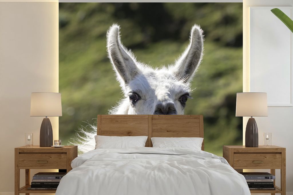 MuchoWow Fototapete für Wohnzimmer oder Schlafzimmer Wandtapete Vinyl Motivtapete Lama - Lustig - Kinder - Jungen - Mädchen - Kinder - 350x350 ...