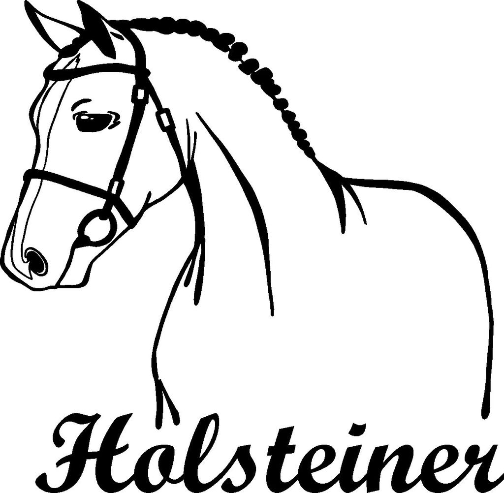Holsteinerpferd, Autoaufkleber, Holsteiner, Rassepferd