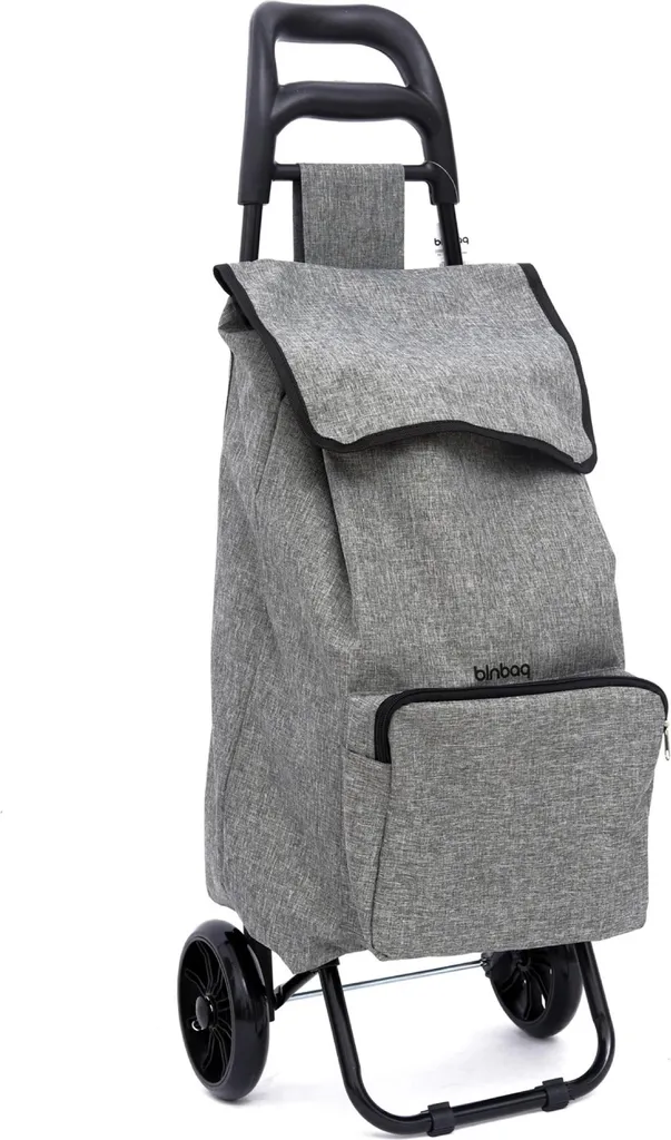 Picnic Trolley 45L Gris - Chariot de Courses pour Loisirs et Marché