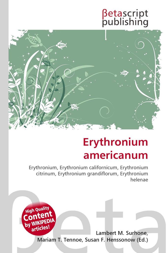 Erythronium americanum