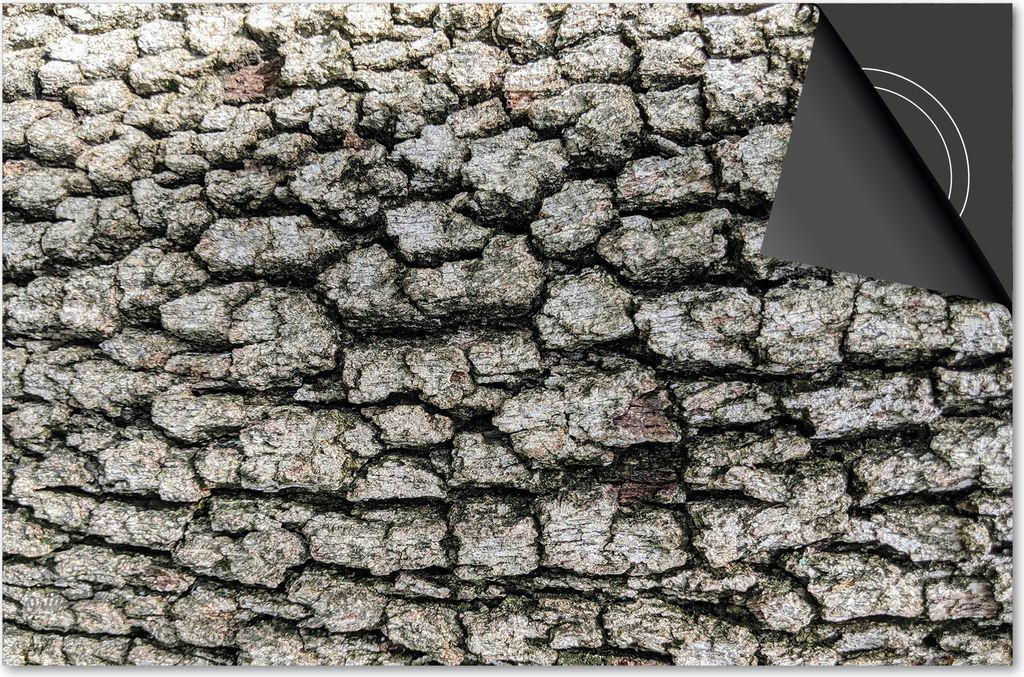 Induktionsschutz 81x52 - abdeckplatte Induktion matt- Dietrix Kochfeldschutz- DELUXE - Holz und Baum - Rinde Muster