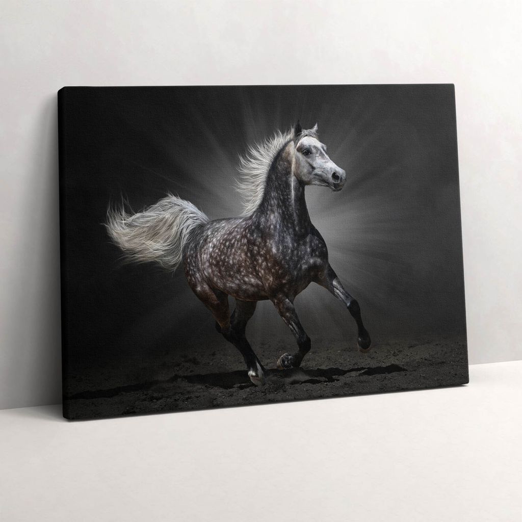 Galoppierendes Pferd – Leinwandbild Wandbild – 80x60 cm – Leinwandbilder – Wandbilder – Schlafzimmer – Flur