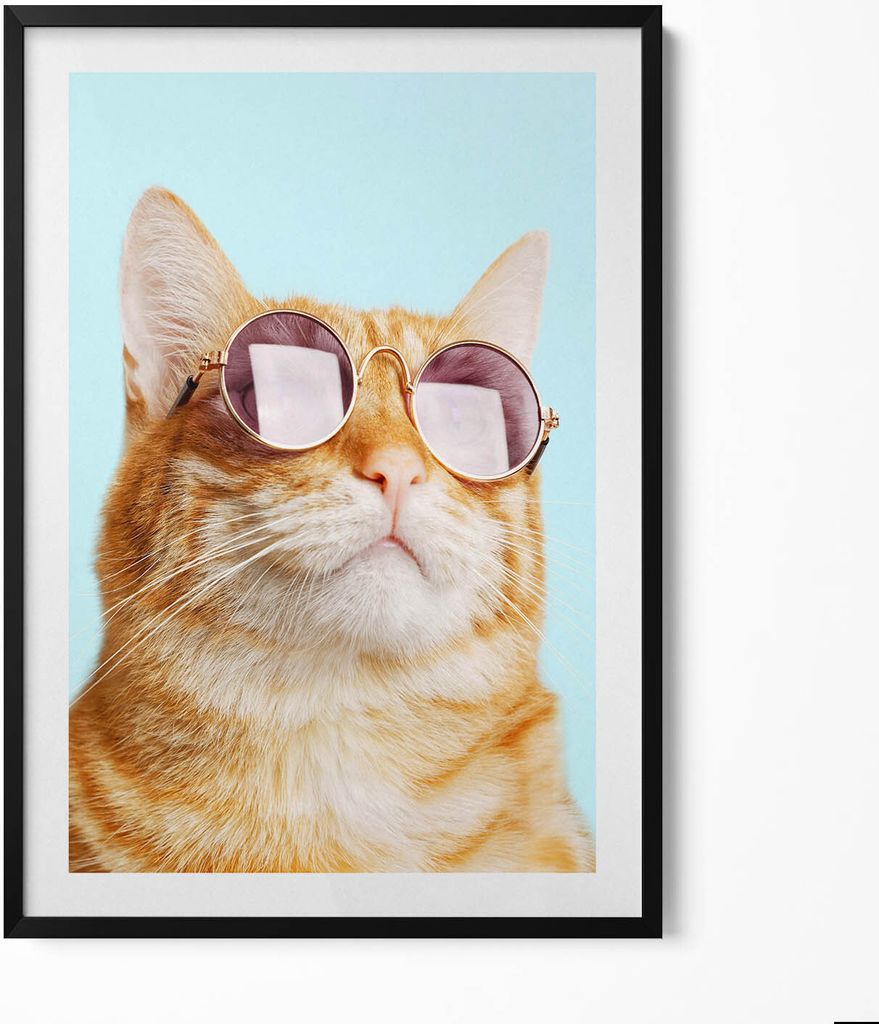 Lustige Katze mit Brille– Wandbild mit Rahmen – Gerahmtes Bild – Wanddekoration – 70x100 cm – Schwarz Rahmen