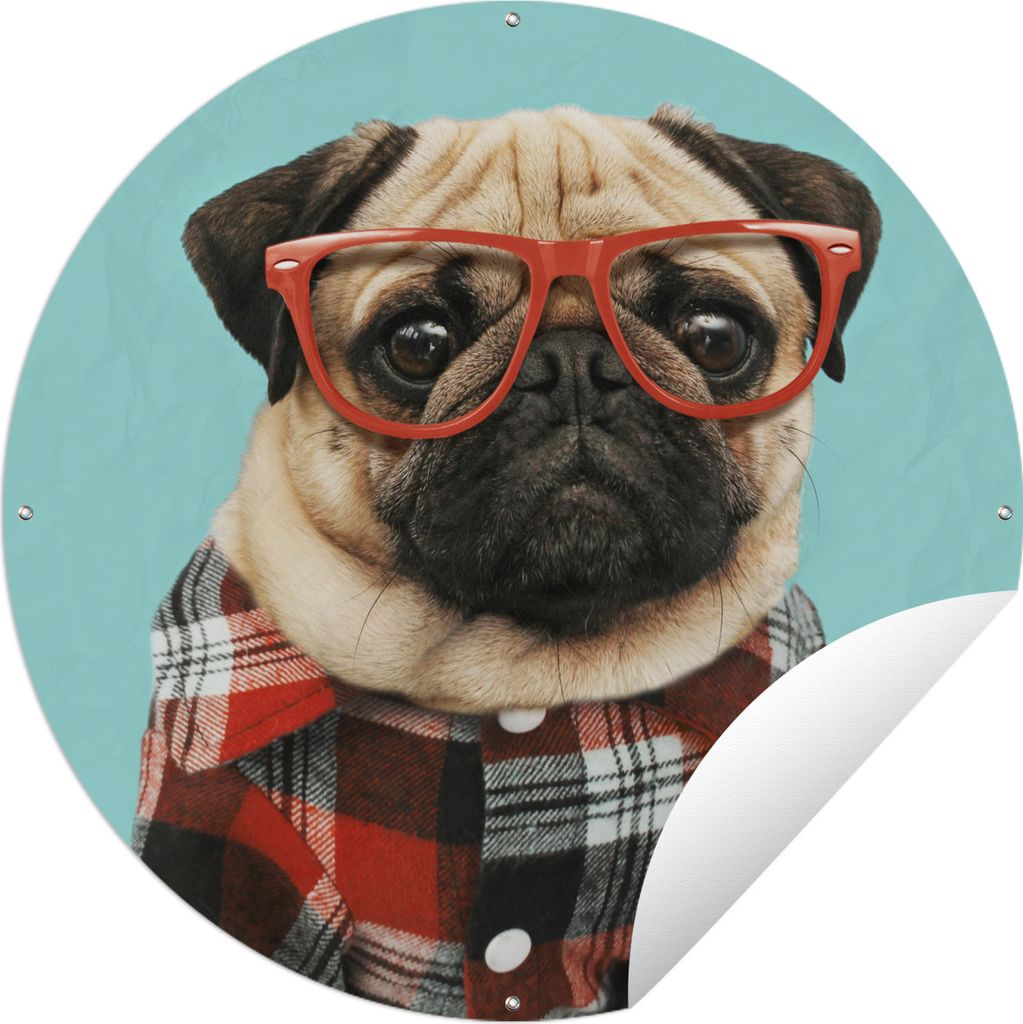 MuchoWow Gartenposter Outdoor-Poster Rund Hund - Hipster - Brille - Bluse Ø 90 cm Gartendeko Rundes Poster draußen