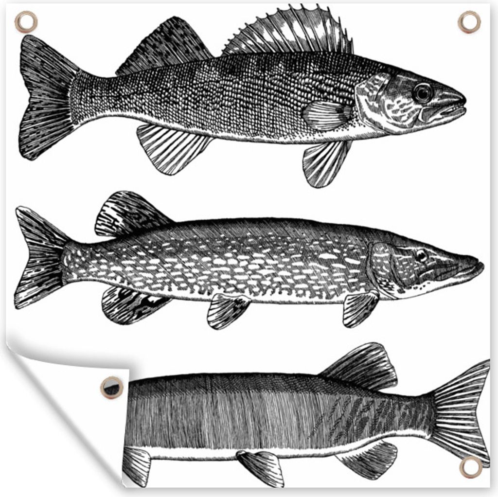 MuchoWow 100x100 cm Outdoor-Poster Gartendeko Sichtschutz Garten Poster für den Garten Eine Illustration von drei Fischen