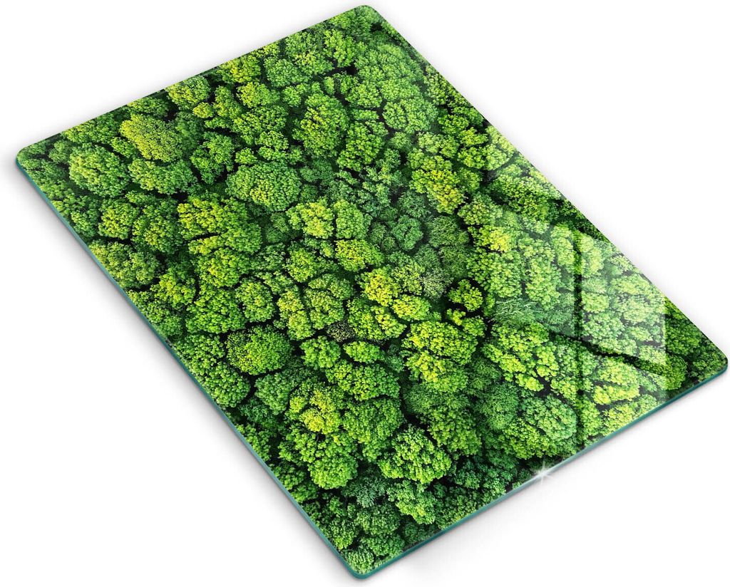 Glasschneideplatte - Herdabdeckplatte - 40x52 cm - Schneidebrett - Spritzschutz - Art der Moospflanze
