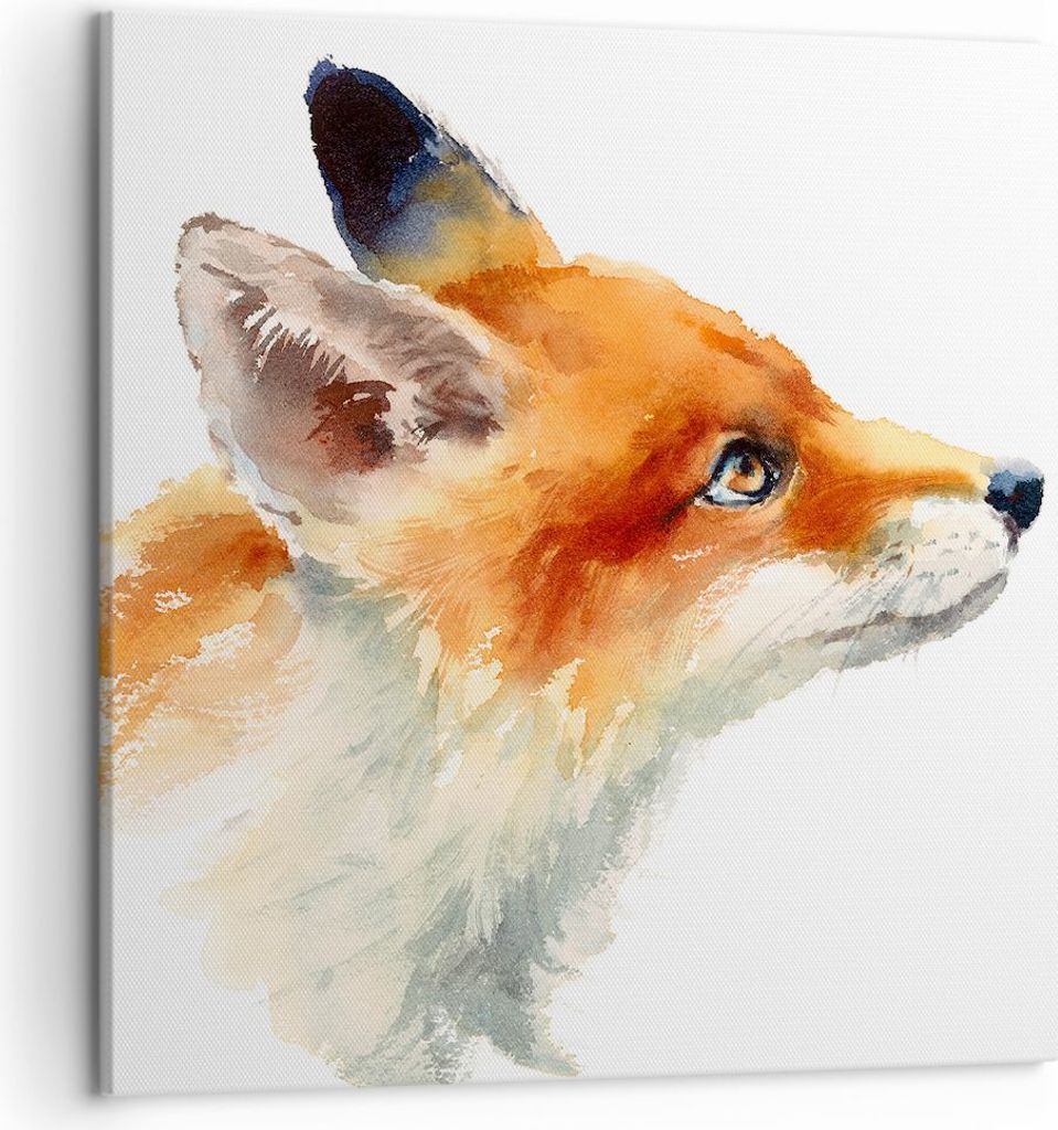 Bild auf Leinwand - Leinwandbild - Fuchs Tier Natur - 50x50cm - Wand Bild - Wanddeko - Wandbilder - Leinwanddruck - Bilder - Kunstdruck - Wanddekor...