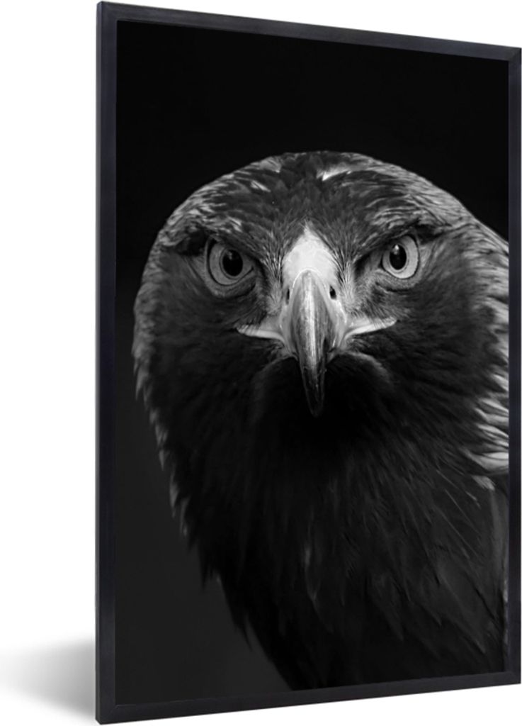 MuchoWow Gerahmtes Poster Bussard - Vogel - Tiere - Schwarz - Weiß 60x90 cm - Poster mit Schwarzem Bilderrahmen Wandposter Rahmen Foto Bilder - ...