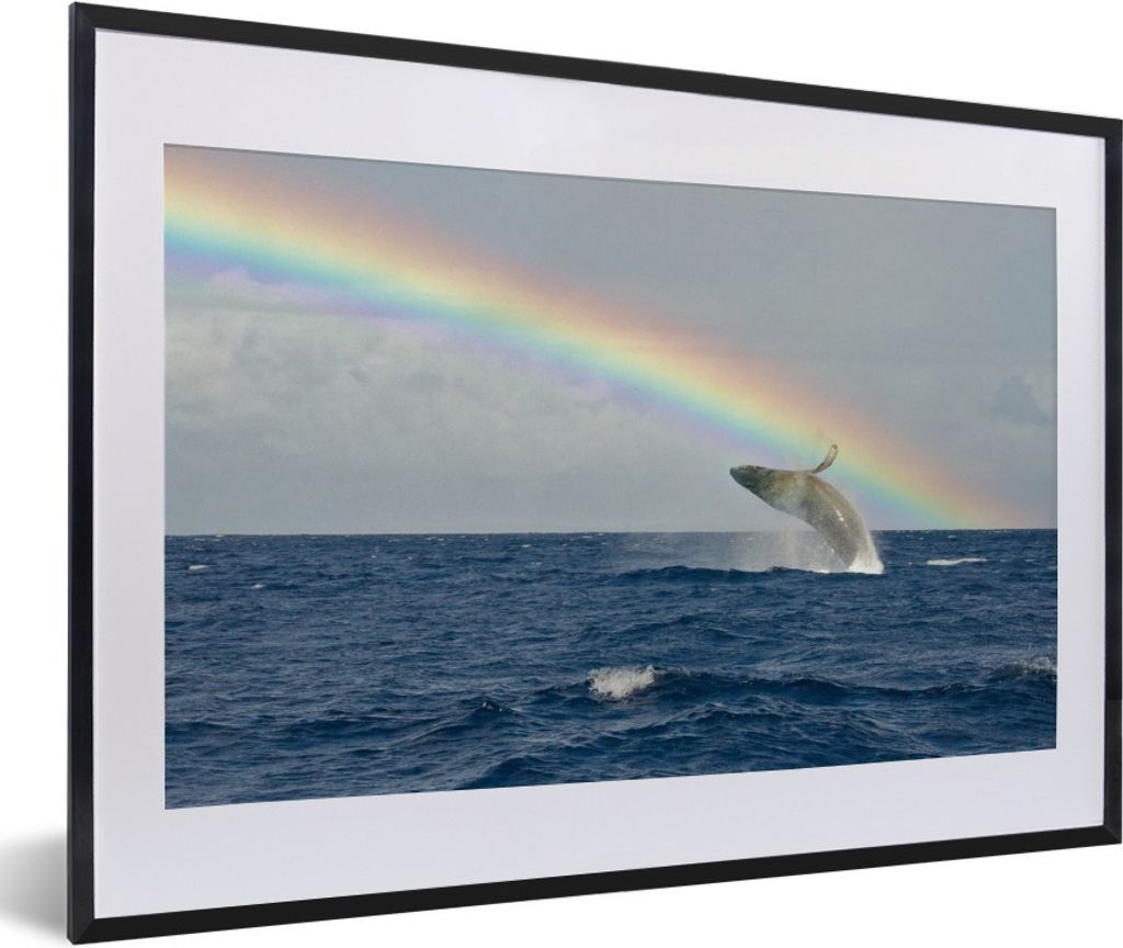 MuchoWow Gerahmtes Poster Ein Buckelwal springt unter einem Regenbogen aus dem Wasser 60x40 cm - Poster mit Schwarzem Bilderrahmen Wandposter Rah...