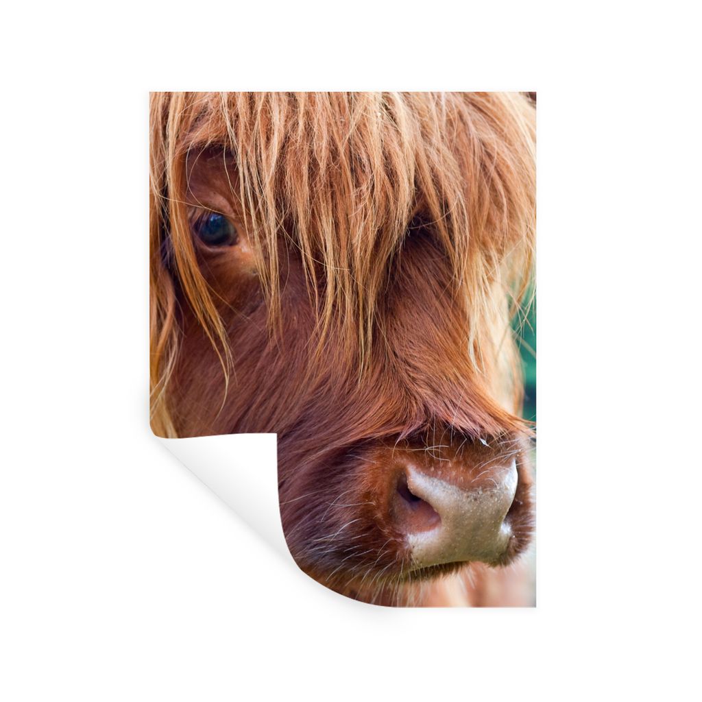 MuchoWow Wandtattoo Wandsticker Wandaufkleber Schottischer Highlander - Braun - Kalb 30x40 cm Selbstklebend und Repositionierbar - Sticker - Deko...