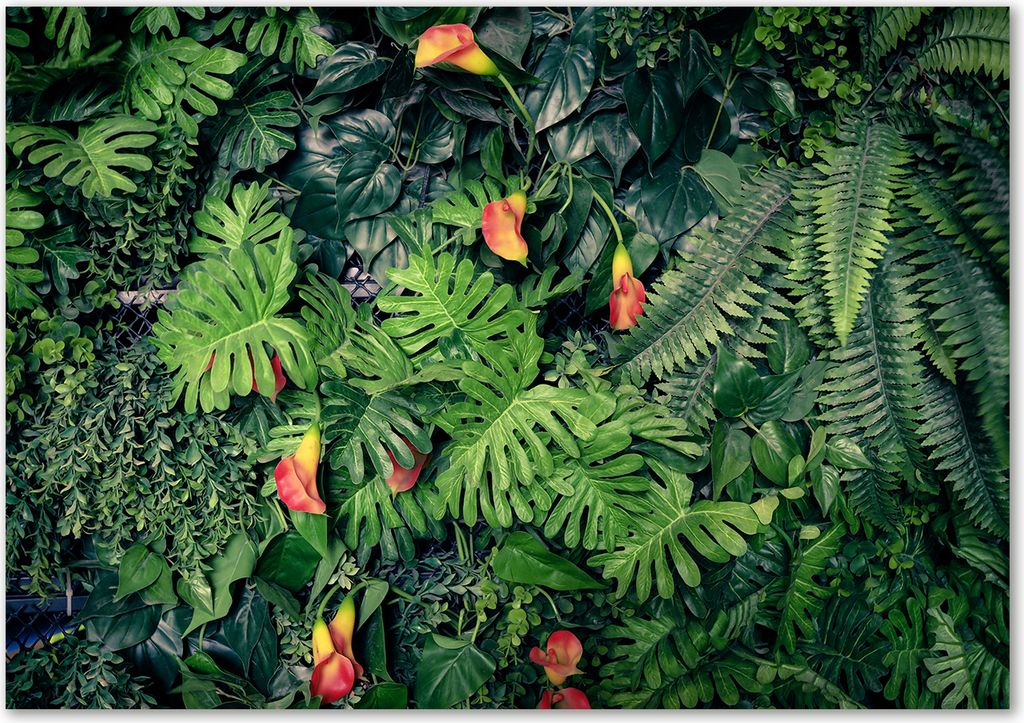 Tulup Glas-Bild - 100 x 70 - Wandbild aus Glas - Wandkunst - Wandbild hinter gehärtetem Sicherheitsglas - Blumen & Pflanzen - Exotischer Dschung...