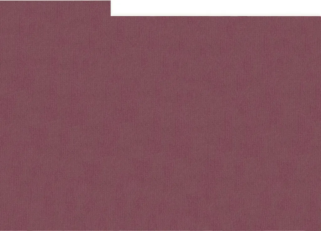 HNFD Divisori Vinaccia per Foto 10x15 - 20 Pezzi per Archiviazione