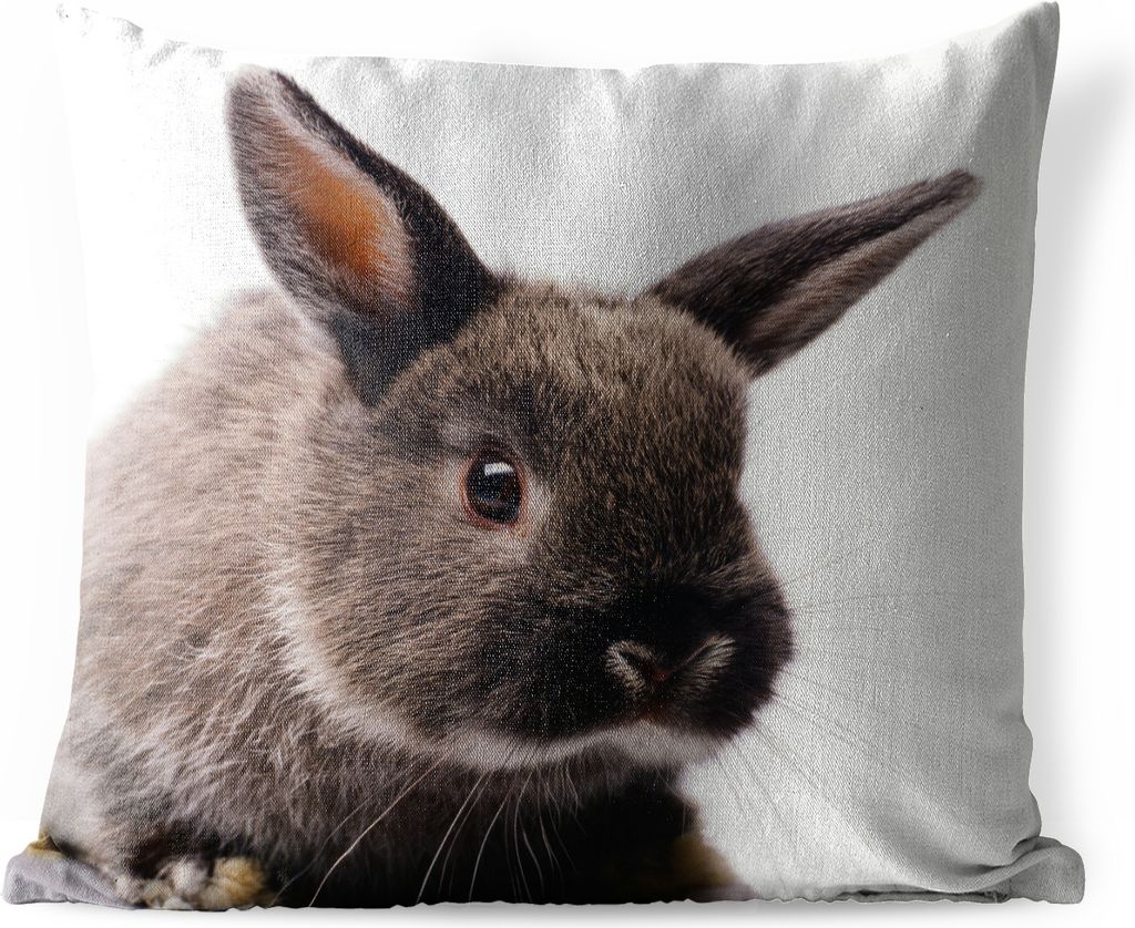 MuchoWow Outdoor Kissen - Kaninchen - Haustier - Porträt - 40x40 cm - Wetterfest - Lounge Kissen - Kopfkissen - Interieur - Polster mit Bild