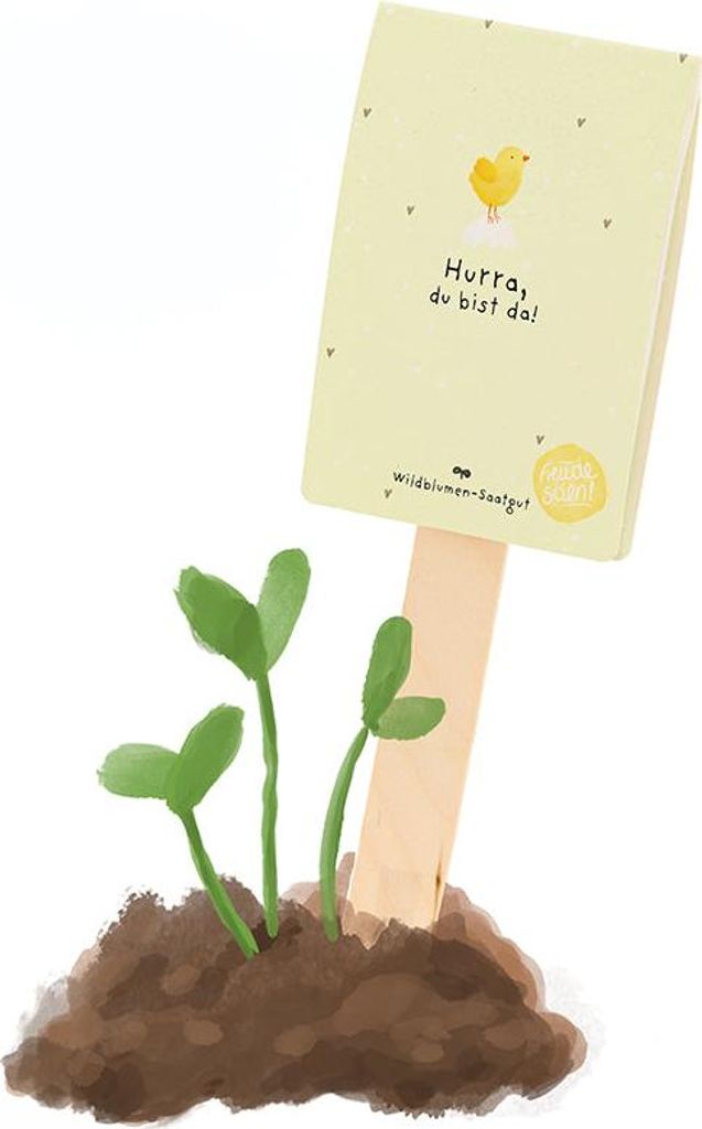 Saatgruß Hurra du bist da – Blühender Willkommensgruß zur Geburt – Mit Wildblumen-Saatgut – Nachhaltiges Geschenk zur Babyparty, Taufe & G...