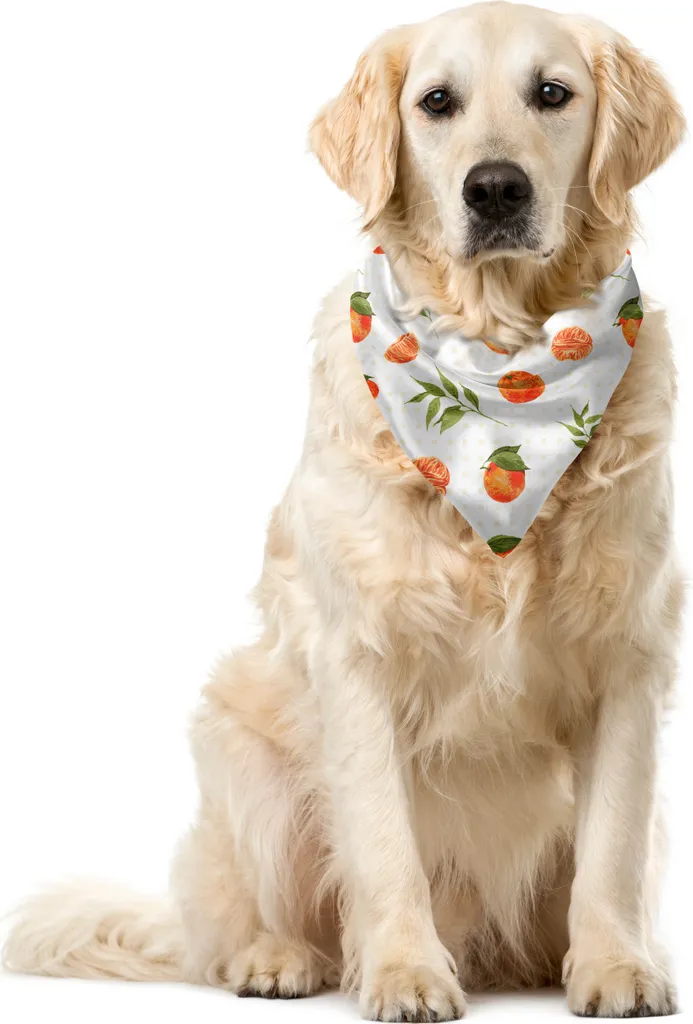Bandana Cane ABAKUHAUS Arancione Bruciato: Accessorio Animali 55x55