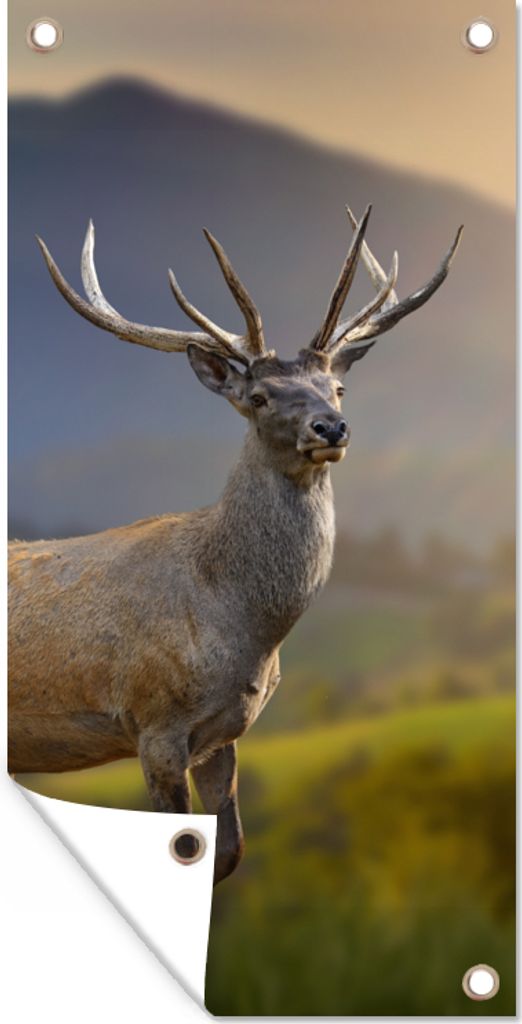 MuchoWow 30x60 cm Outdoor-Poster Gartendeko Sichtschutz Garten Poster für den Garten Hirsche - Berg - Gras - Sonnenuntergang - Tiere - Natur
